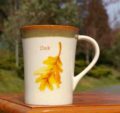 Starbucks Coffee Company 2007 Oak Leaf 13oz Mug - Sold on eBay Dec, 17th 2018 for $25.00
