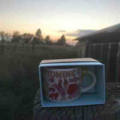 Wyoming Starbucks Been There Series 2oz  Mini Mug 2018 Rare Hard To Find - Sold on eBay Dec, 26th 2018 for $18.00