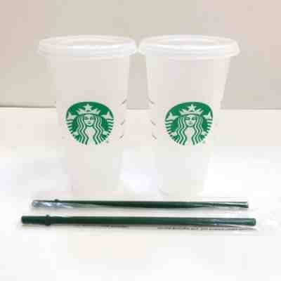 Two (2) New Starbucks Venti 24 fl oz Frosted Ice Cold Drink Reusable Cup Straws - Sold on eBay Oct, 28th 2019 for $17.99