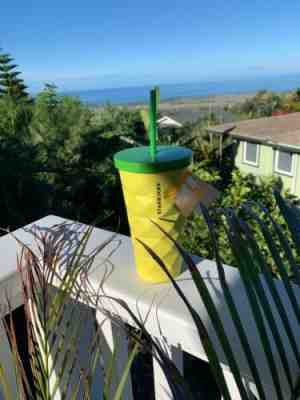 Starbucks HAWAII 16OZ Metal PINEAPPLE GRANDE TUMBLER COLD CUP - Sold on eBay Oct, 21st 2019 for $37.99