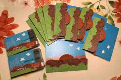 Starbucks 2008 Spring Sparrows Song Bird 50 Cards W/ 9 Sleeves - Sold on eBay Nov, 9th 2019 for $75.00