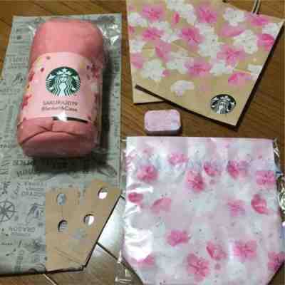 Starbucks Japan Sakura 2019 Limited Blanket Tote,Mint case Cherry Blossoms - Sold on eBay Nov, 8th 2019 for $50.00