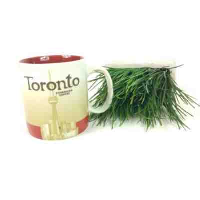 Excellent Starbucks City Collector Series Coffee Mug 2009 TORONTO Ontario Canada - Sold on eBay Nov, 7th 2019 for $29.09