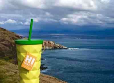 STARBUCKS PINEAPPLE TUMBLER CUP HAWAII EDITION STAINLESS STEEL 16oz - Sold on eBay Nov, 21st 2019 for $31.99