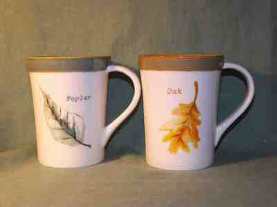 2007 Starbucks Coffee Mug Oak Poplar Set of 2*Leaf, Autumn Nature Tree 13 fl.oz. - Sold on eBay Nov, 25th 2019 for $26.00