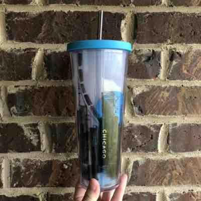 NEW Starbucks 2014 Chicago Skyline Acrylic Tumbler 24oz - Sold on eBay Dec, 14th 2019 for $39.99