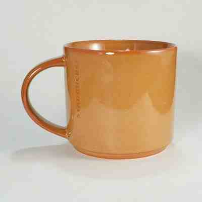 Starbucks Coffee 2013 Burnt Orange Pumpkin Etched Logo Stackable Mug Cup 14 oz - Sold on eBay Dec, 16th 2019 for $23.95