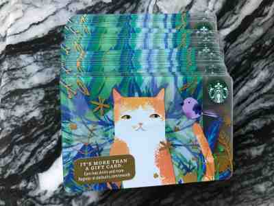 30 STARBUCKS  2016 LIMITED EDITION GIFT CARD VERY RARE CAT LOT - Sold on eBay Dec, 14th 2019 for $29.99