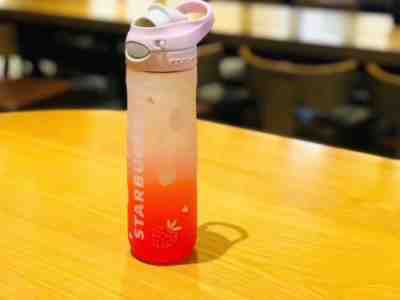 New China 2019 Starbucks Summer Contigo Pink Strawberry 750ml Water Bottle - Sold on eBay Jan, 10th 2020 for $69.99