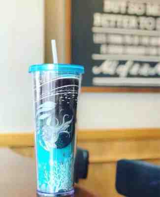 New Starbucks 2018 China Anniversary Beautiful Siren Double Wall Plastic Bottle - Sold on eBay Jan, 5th 2020 for $35.00