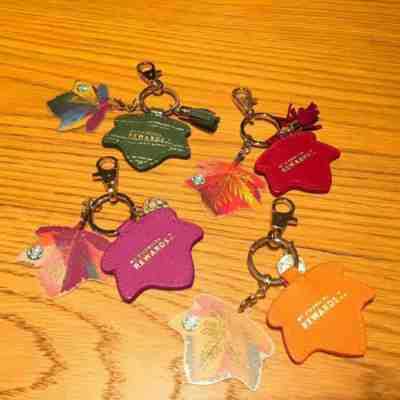 New Starbucks China 2017 Autumn Maple Leaves MSR Card of 4 empty - Sold on eBay Jan, 4th 2020 for $29.99