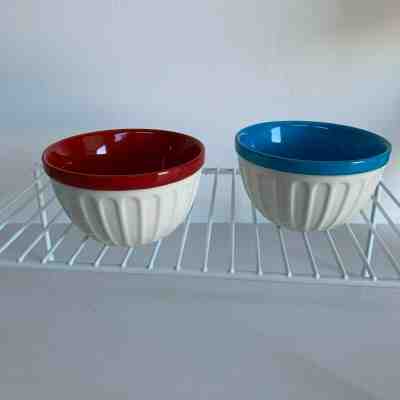 Starbucks 2007 Ribbed 12oz Ice Cream Bowls White Outside: Set of 2:Red and Blue  - Sold on eBay Dec, 26th 2019 for $32.97