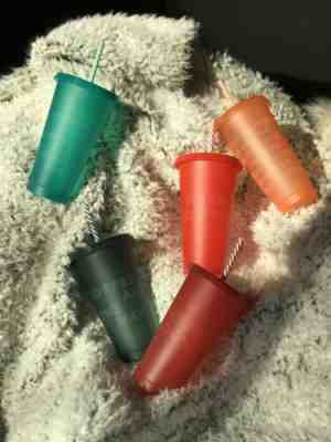 FLASH SALE! Starbucks 2019 Holiday Christmas Reusable Cold Cups W/ Straws 5 Pack - Sold on eBay Dec, 24th 2019 for $22.50