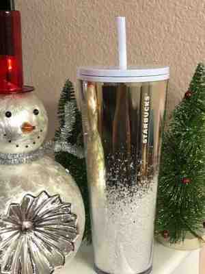 Brand New Starbucks 2019 Venti  Golden Snow S.S. Cold Cup Tumbler for Holidays - Sold on eBay Dec, 23rd 2019 for $16.00