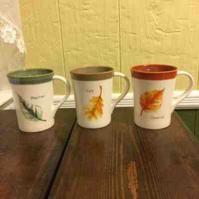 Starbucks 2007 mugs IVORY POPLAR, OAK LEAF & CHERRY LEAF Fall Autumn Lot of 3 - Sold on eBay Jan, 8th 2020 for $34.00