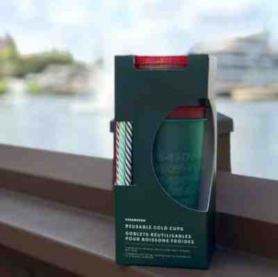 Starbucks Holiday Reusable Cold Cups 2019 Set Of 5 With Straws Christmas Winter - Sold on eBay Jan, 11th 2020 for $18.99