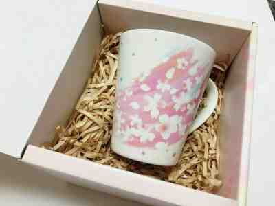 2018 STARBUCKS JAPAN  SAKURA PINK BRUSH CUP 296ML  WITH GIFT BOX  FREE SHIPPING  - Sold on eBay Feb, 4th 2020 for $25.00