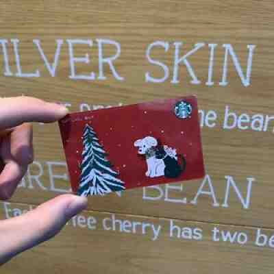 Starbucks 2020 China Merry Christmas Tree Cat And Dog Used Card Pin Covered - Sold on eBay Aug 08, 2021 for $6.00