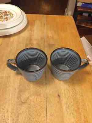 2 Starbucks 3 1/2" Light Blue, Brown, Ribbed 12 oz Coffee Mug 2008 - Sold on eBay Jul 03, 2021 for $19.95