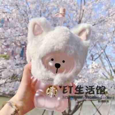 NEW Starbucks Cute Pink Cat Bear Sakura Straw Glass Cup W/ Plush Headgear Topper - Sold on eBay Jun 29, 2021 for $43.99