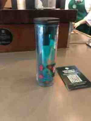 Starbucks Mexico 2021 Fall Butterfly and Flowers Tumbler - Sold on eBay Sep 21, 2021 for $26.99