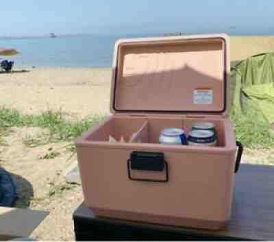 Starbucks Korea 2021 Summer Frequency pink Ice Box /Ice Cooler DHL - Sold on eBay Aug 28, 2021 for $99.00