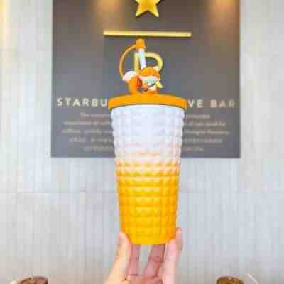 New Starbucks 2021 China Autumn Happy Cute Fox Topper SS 16oz Cup Tumbler - Sold on eBay Nov 13, 2021 for $69.99