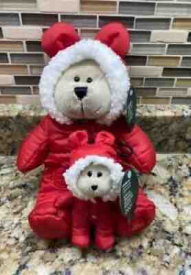 New 2021 Starbucks Holiday Bearista Plush Bears Limited Edition - Sold on eBay Nov 28, 2021 for $65.00