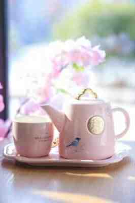 New Starbucks 2022 China Pink Sakura Siren Logo Teapot And Mug Set - Sold on eBay Mar 17, 2022 for $109.99