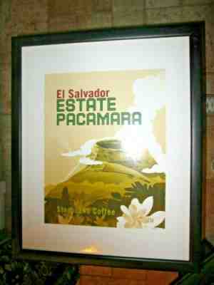 STARBUCKS PROMOTIONAL POSTER EL SALVADOR ESTATE PACOMA COFFEE FRAMED 18