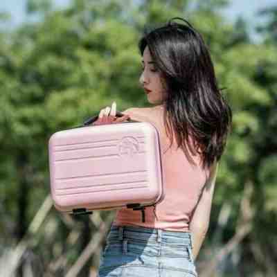 Starbucks Luggage Mini Handbag Cute Travel Storage Bag Carrying Case vanity case - Sold on eBay Nov 21, 2022 for $35.99
