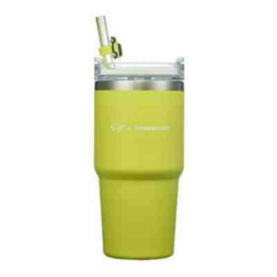 Starbucks Korea 2021 Summer MINI SS Stanley Quencher Lime Tumbler 591ml Limited - Sold on eBay Dec 19, 2022 for $99.90