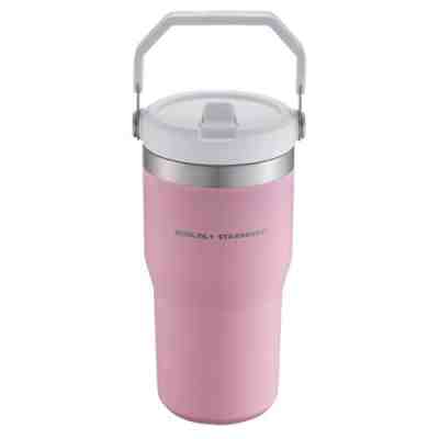 Starbucks Taiwan Valentine's Day the iceflow flip straw ss tumbler cold cup 20oz - Sold on eBay Jan 21, 2023 for $77.00