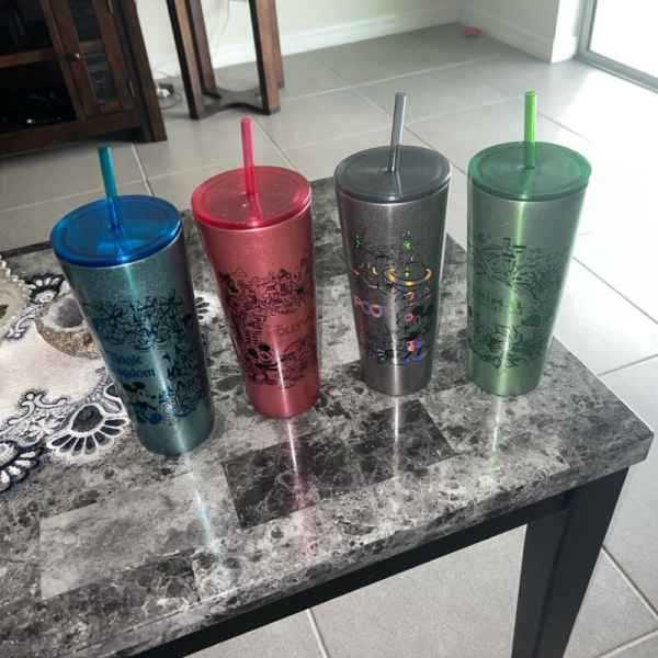 Walt Disney World Starbucks Four Parks Stainless Steel Tumbler Cup Straw Set - Sold on eBay October 30th, 2024 for $135.00