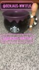 Starbucks Korea 2019 Halloween Witch Brew Mug 355ml Tumbler Cup Coffee - Sold on eBay September 17th, 2024 for $139.95