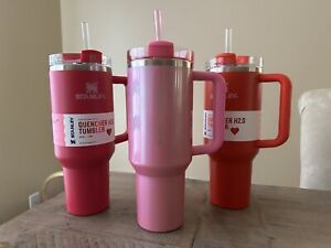 ? IN HAND 2024 Starbucks x Stanley Cup Tumbler 40 oz Pink Valentine’s Day Bundle - Sold on eBay January 3rd, 2024 for $450.00