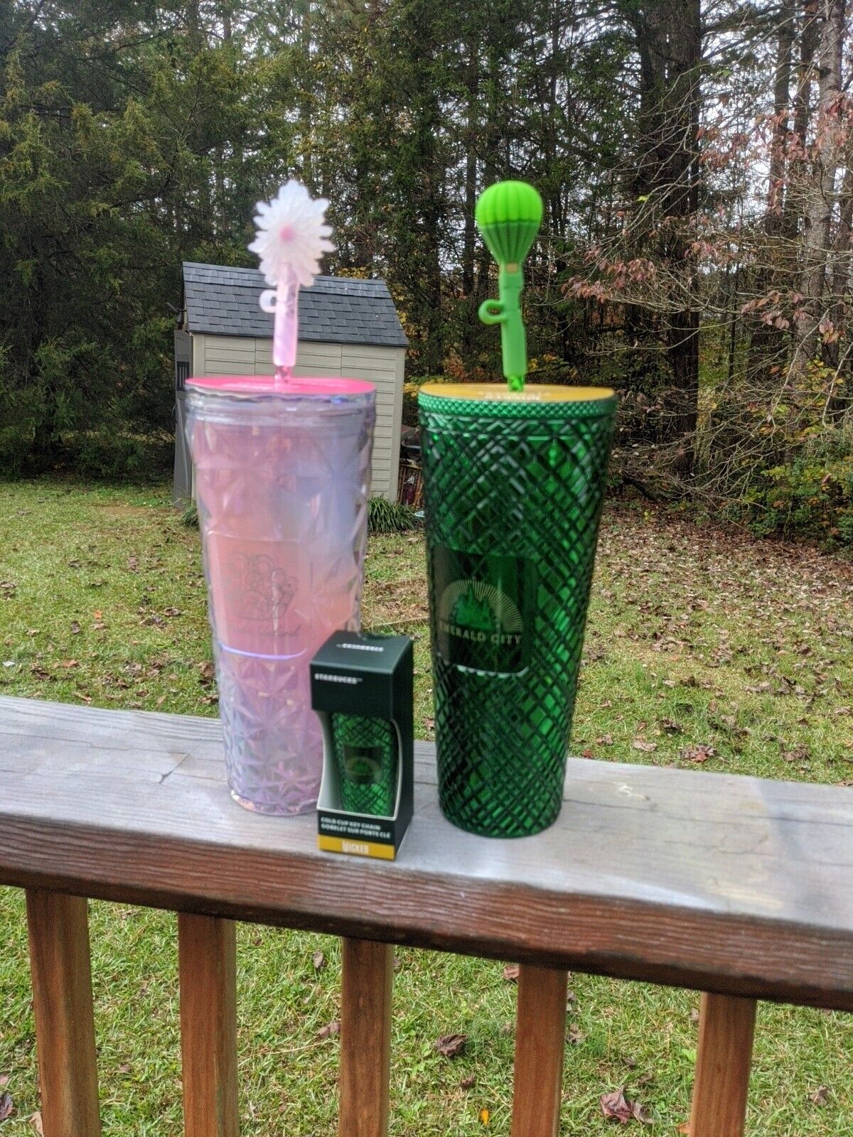 Starbucks "Wicked The Movie" Bundle Set Tumblers And Keychain - Sold on eBay November 23rd, 2024 for $125.00