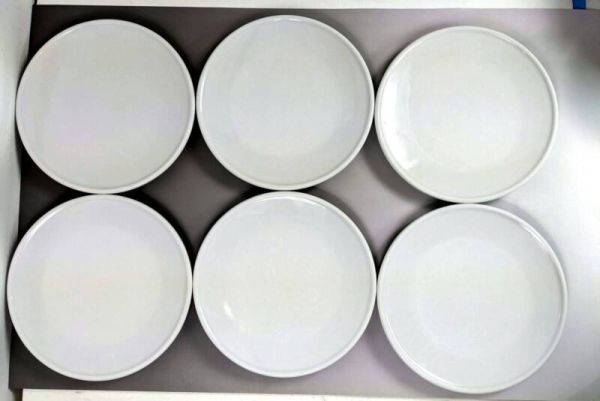 Starbucks Coffee Co. New OR Used White Dinner Plates (6) Poland Porcelain - Sold on eBay October 31st, 2024 for $78.00