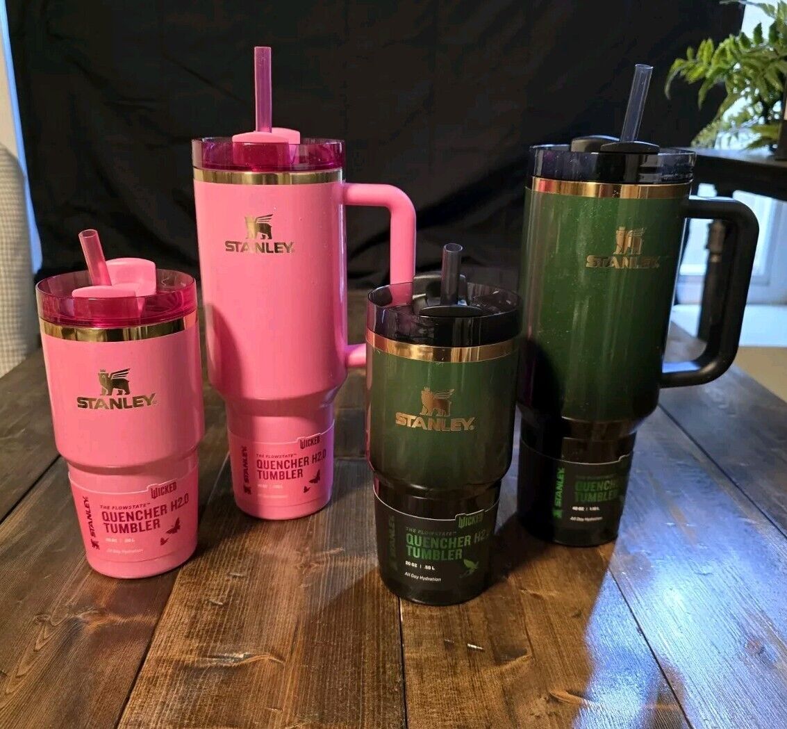 Stanley Starbucks Wicked Tumbler set- All 4 Types 20oz and 40oz Elphaba & Glinda