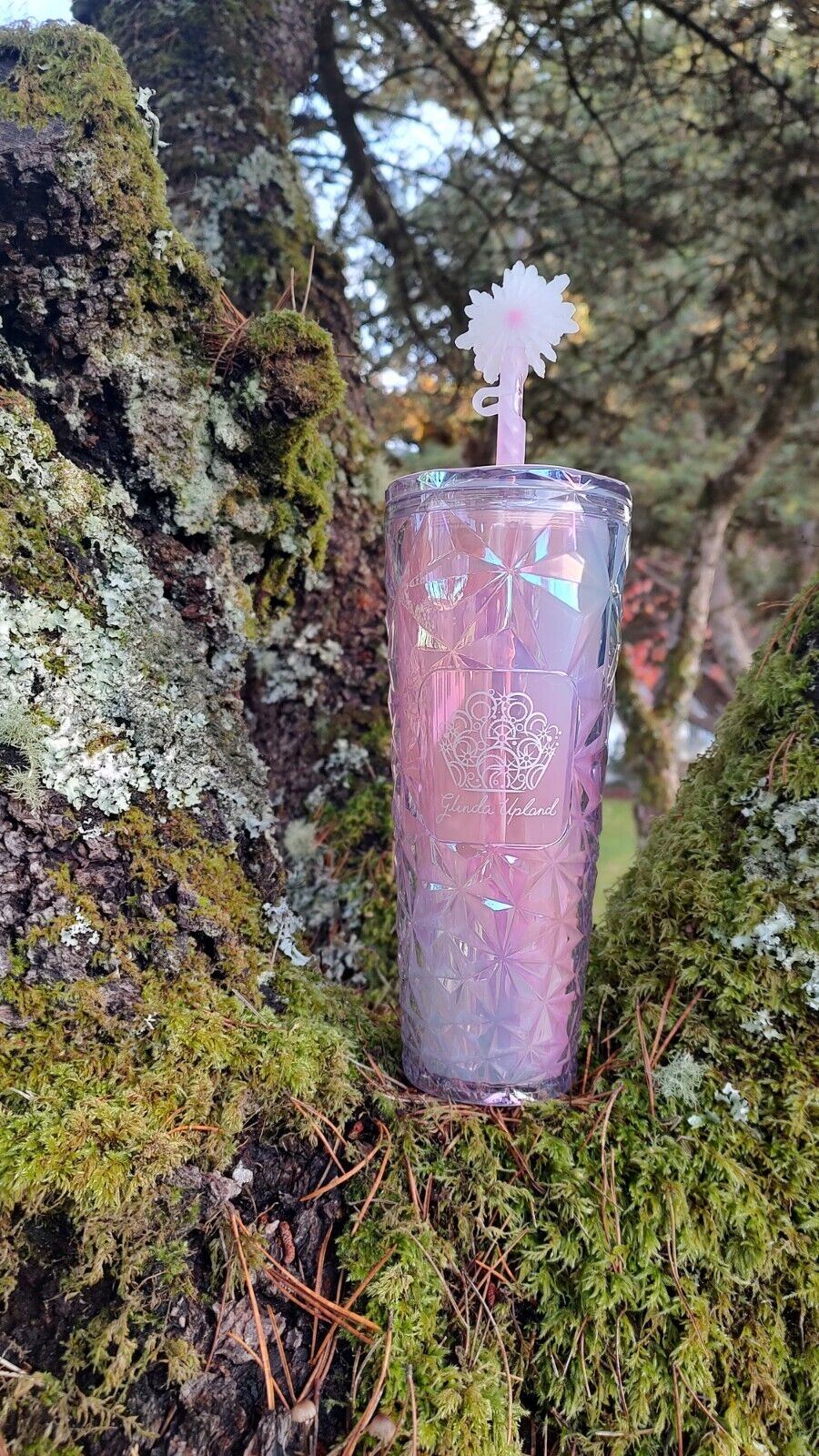 Starbucks  Wicked Glinda Cup - Sold on eBay December 11th, 2024 for $78.00 (9 bids) 