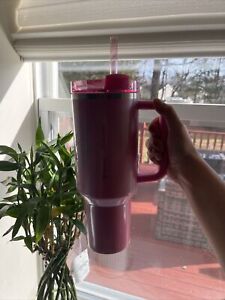 Stanley x Starbucks Winter Pink 40oz Tumbler (2024 Target Exclusive) New In Hand - Sold on eBay January 19th, 2024 for $251.50 (24 bids) 