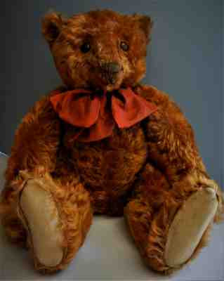 VERY RARE Antique Steiff Cinnamon Bear 20" ff Button ca.1905 Collectible Toy EXC