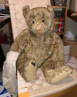 Vintage STEIFF 1910's Brown Teddy Bear 30” Jointed Hump Excelsior