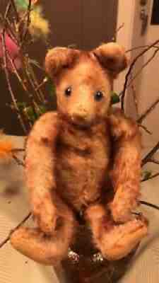 RARE Antique Steiff Petsy Bear~ !0 in. with Button