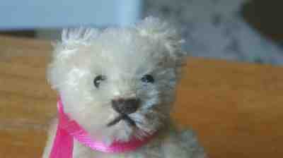 White Steiff Teddy Bear Rare Vintage Made 1956 to 1964 Only 