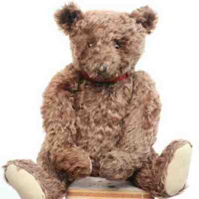 Antique Brown Pre-War Steiff Teddy Bear 1920-30s w Button Long F Character Bear
