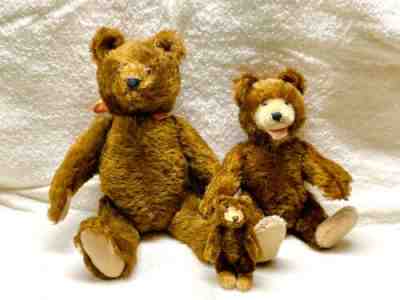 Vintage Steiff Teddy bear family; Made in Germany c. 1945-1953; original tags