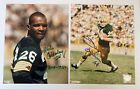 Super Bowl I Champion 1966 Green Bay Packers - Lot 49 - Starr, Horning, Etc