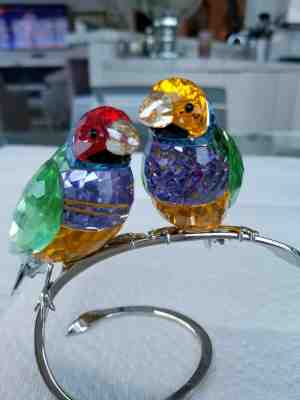 Swarovski Crystal Gouldian Finches Peridot figurine #1141675 Paradise Birds MIB