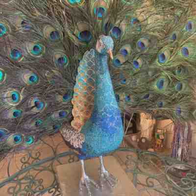 Swarovski Crystal Peacock By Clarita Brinkerhoff Real Feathers 25,854 Crystals